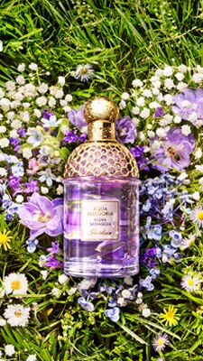 AQUA ALLEGORIA &ndash; The Joyful By Nature Collection